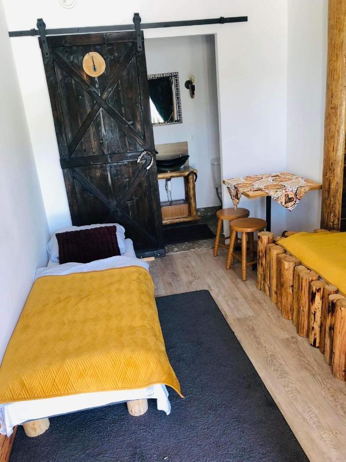Rochowa Buznica Zakopane Eksteriør billede